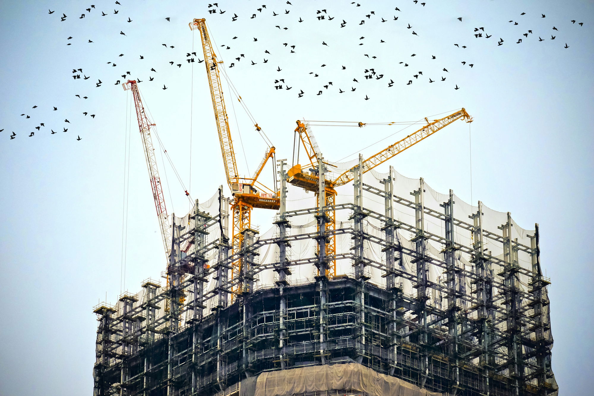 low-angle-photography-of-cranes-on-top-of-building.jpg low angle photography of cranes on top of building